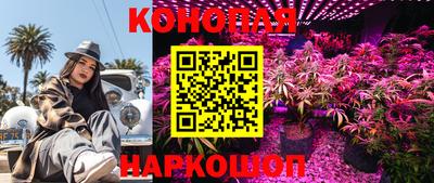 MDMA Краснознаменск